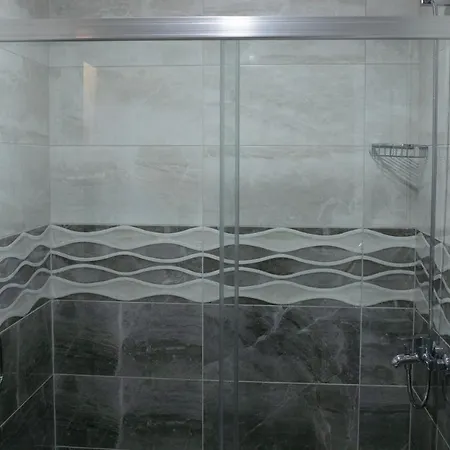 Apartament Sare House *
